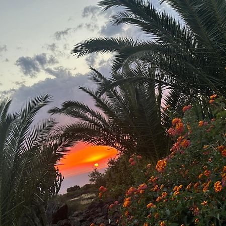 Apartmán Dammuso Favarelle Da Caty Scauri  Exteriér fotografie